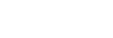 Vorlix Logo